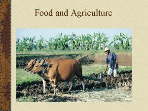 Food and Agriculture MAJOR FOOD SOURCES Our Food