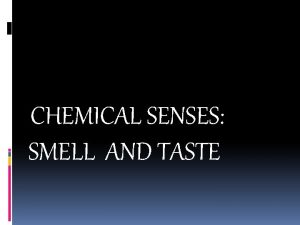 CHEMICAL SENSES SMELL AND TASTE OLFACTION SMELL and