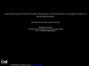 Lipid Demixing and ProteinProtein Interactions in the Adsorption