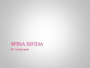 SPINA BIFIDA BY Lucila Ojeda Spina Bifida Three