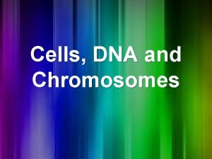 Cells DNA and Chromosomes Cells Cells are the