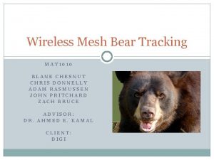 Wireless Mesh Bear Tracking MAY 1010 BLANE CHESNUT