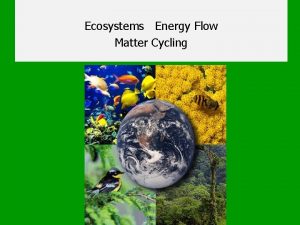 Ecosystems Energy Flow Matter Cycling What sustains life