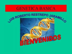 GENETICA BASICA Qu es la gentica Una caracterstica