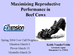 Maximizing Reproductive Performance in Beef Cows Spring 2004