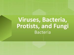 Viruses Bacteria Protists and Fungi Bacteria Cell Structures