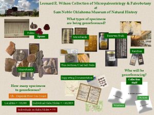 Leonard R Wilson Collection of Micropaleontology Paleobotany at