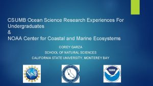 CSUMB Ocean Science Research Experiences For Undergraduates NOAA