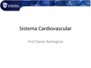 Sistema Cardiovascular Prof Karen Bodington rganos del Sistema