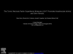 The Tumor Necrosis Factor Superfamily Molecule LIGHT Promotes