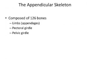 The Appendicular Skeleton Composed of 126 bones Limbs