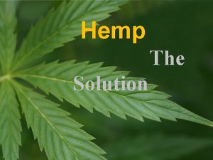 Hemp The Solution Taxonomy Kingdom Plantae Clade Angiosperms