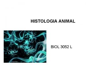 HISTOLOGIA ANIMAL BIOL 3052 L OBJETIVOS Conocer los