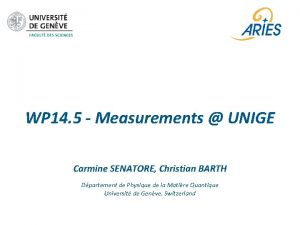 WP 14 5 Measurements UNIGE Carmine SENATORE Christian