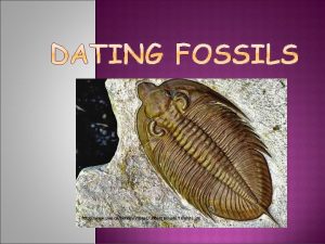 http www uwo cabiologyimagesundergraduatetrilobite jpg Oldest fossils 3