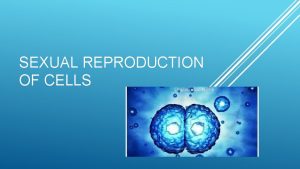 SEXUAL REPRODUCTION OF CELLS SEXUAL REPRODUCTION OF CELLS