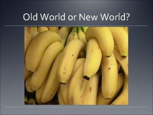 Old World or New World Old World or