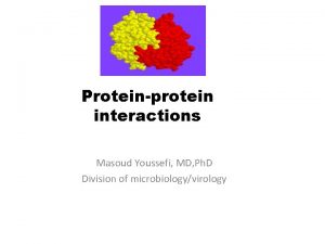 Proteinprotein interactions Masoud Youssefi MD Ph D Division