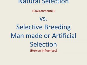Natural Selection Environmental vs Selective Breeding Man made