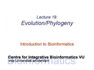 Lecture 19 EvolutionPhylogeny Introduction to Bioinformatics Bioinformatics Nothing