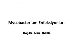 Mycobacterium Enfeksiyonlar Do Dr Arzu FINDIK Giri Actinomycetales