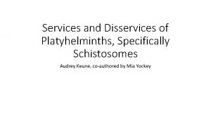 Services and Disservices of Platyhelminths Specifically Schistosomes Audrey