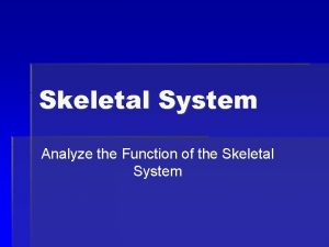 Skeletal System Analyze the Function of the Skeletal