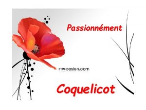 Passionnment Coquelicot Coquelicot quel joli mot Un mot