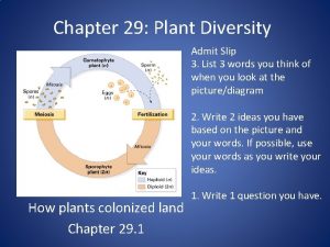 Chapter 29 Plant Diversity Admit Slip 3 List