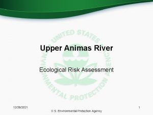 Upper Animas River Ecological Risk Assessment 12282021 1