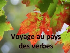 Voyage au pays des verbes Questce que le