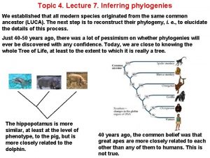 Topic 4 Lecture 7 Inferring phylogenies We established