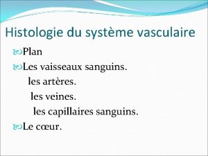 Histologie du systme vasculaire Plan Les vaisseaux sanguins