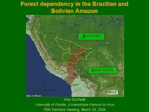 Forest dependency in the Brazilian and Bolivian Amazon