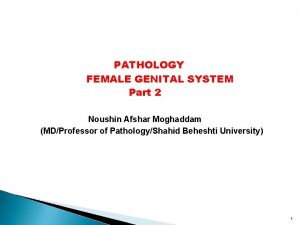 PATHOLOGY FEMALE GENITAL SYSTEM Part 2 Noushin Afshar