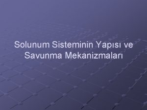 Solunum Sisteminin Yaps ve Savunma Mekanizmalar Morfoloji Solunum