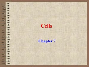 Cells Chapter 7 Hooke 1665 Hooke an English