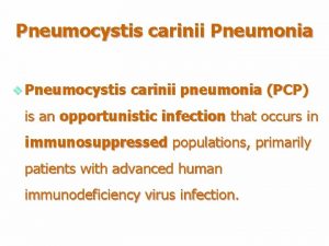 Pneumocystis carinii Pneumonia v Pneumocystis carinii pneumonia PCP