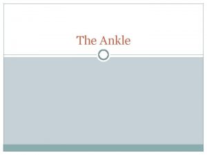 The Ankle Bones Tibia Fibula Talus Movements Dorsal