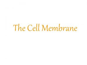 The Cell Membrane The Cell Membrane Double layered