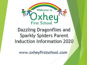 Dazzling Dragonflies and Sparkly Spiders Parent Induction Information