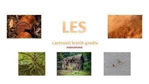 LES Lastnosti lesnih gradiv NADALJEVANJE Les Lastnosti lesa