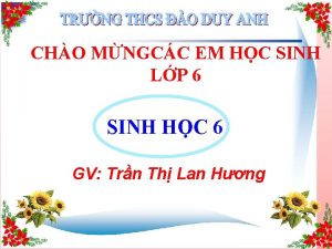 CHO MNGCC EM HC SINH LP 6 SINH