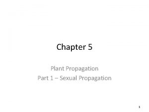 Chapter 5 Plant Propagation Part 1 Sexual Propagation