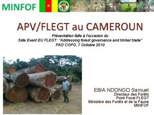 APVFLEGT au CAMEROUN Prsentation faite loccasion du Side