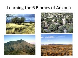 Learning the 6 Biomes of Arizona Geo Arizona