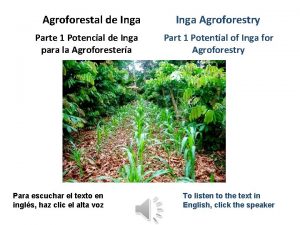 Agroforestal de Inga Parte 1 Potencial de Inga