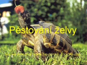 Pstovn elvy Monika Joneov Ivana Nevilov Zora Moudr