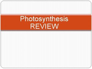 Photosynthesis REVIEW Autotrophs vs Heterotrophs use energy from