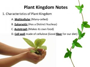 Plant Kingdom Notes 1 Characteristics of Plant Kingdom